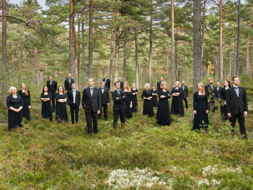 Web - Estonian Philharmonic Chamber Choir in a pine forest next to Arvo Part Centre in Laulasmaa, Estonia Photo Kaupo Kikkas Estonian Philharmonic Chamber Choir Photo-Kaupo Kikkas